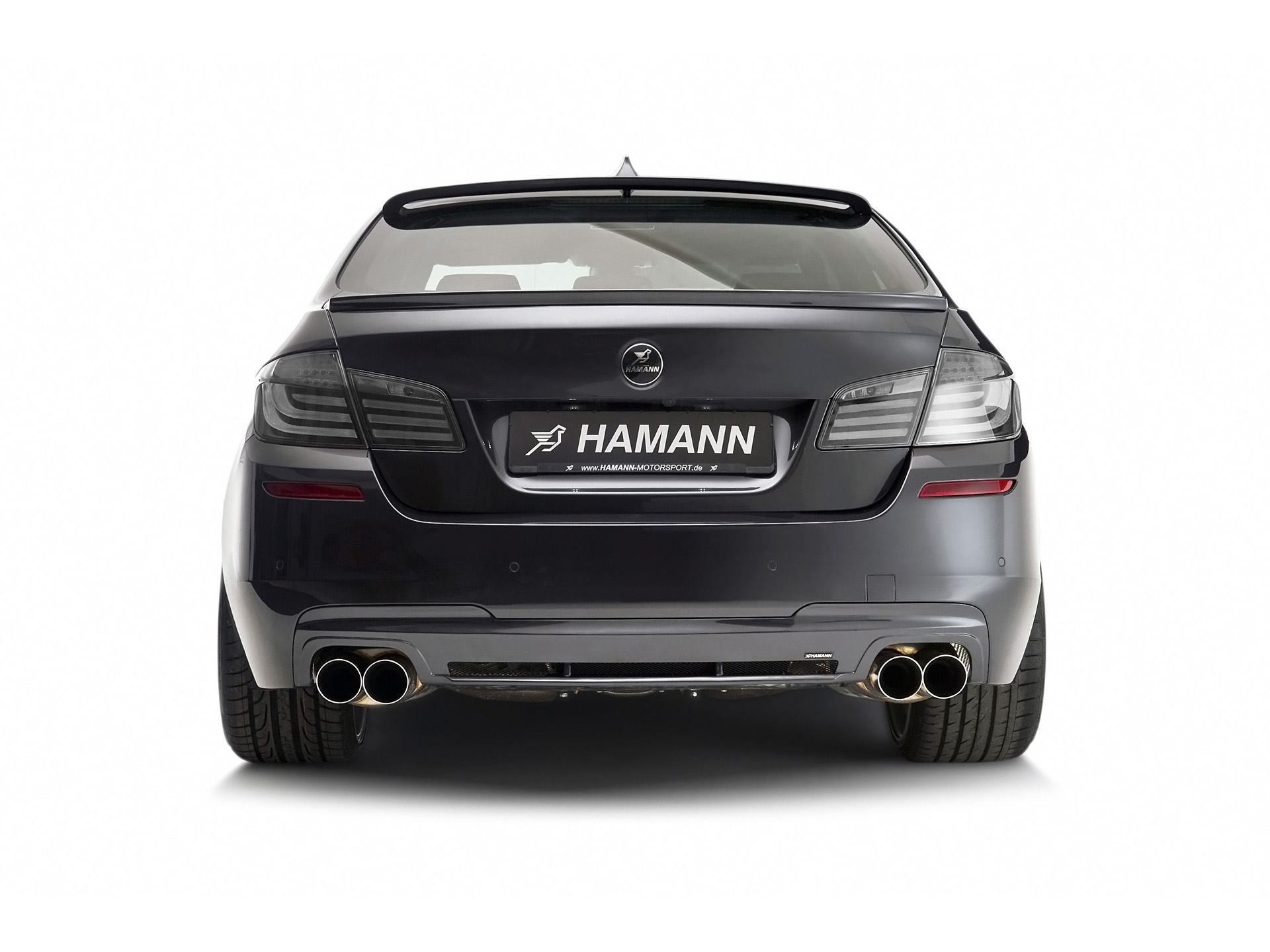 Hamann BMW 5-Series F10 M Technik photo #8