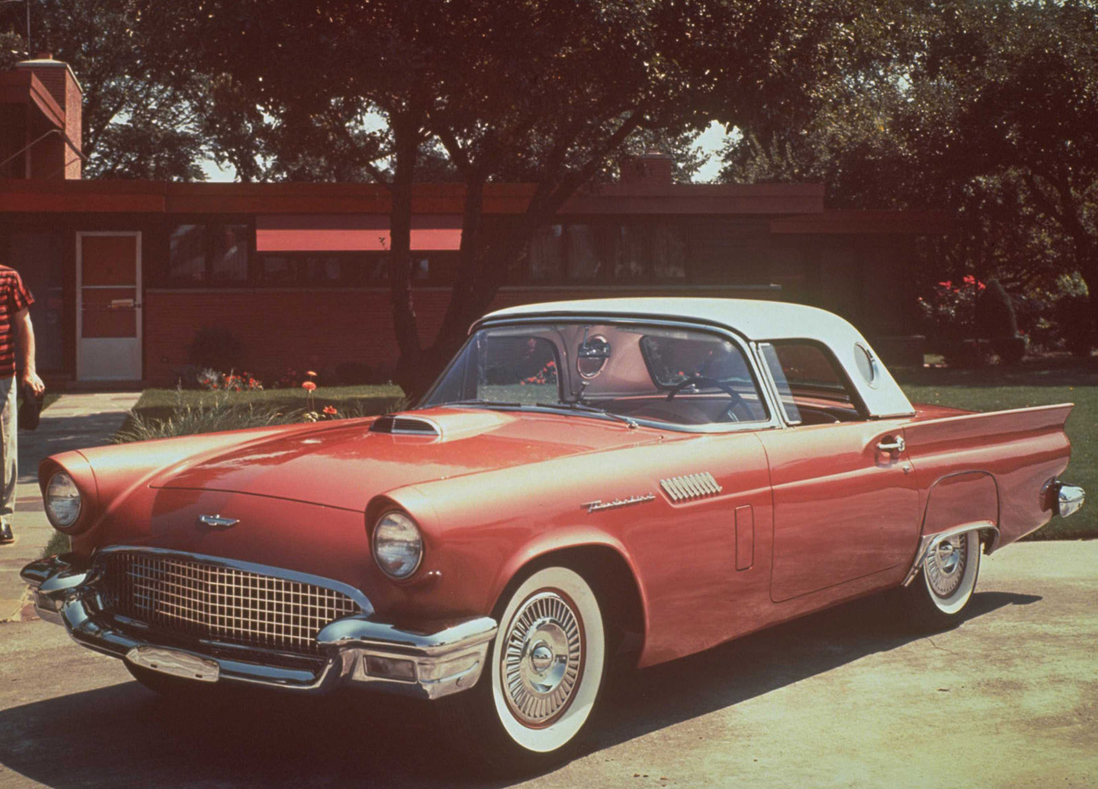 Ford Thunderbird photo #2