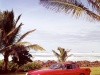 1961 Volvo P1800 thumbnail photo 60496