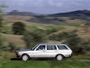 1975 Mercedes-Benz 123 series thumbnail photo 41118