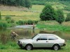 1976 Volvo 343 thumbnail photo 64708