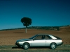 Renault Fuego 1980