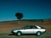 1980 Renault Fuego thumbnail photo 22499