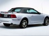 1999 Ford Mustang 35th Anniversary thumbnail photo 91591