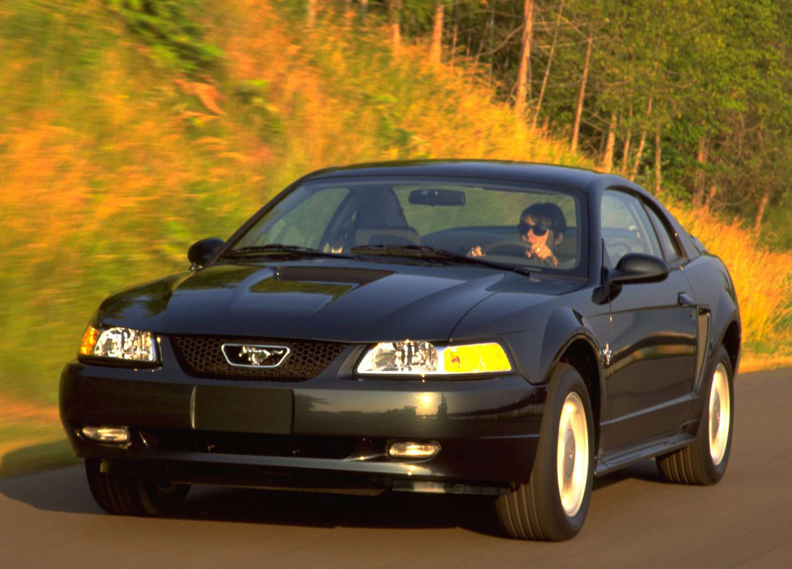 Ford Mustang GT photo #3