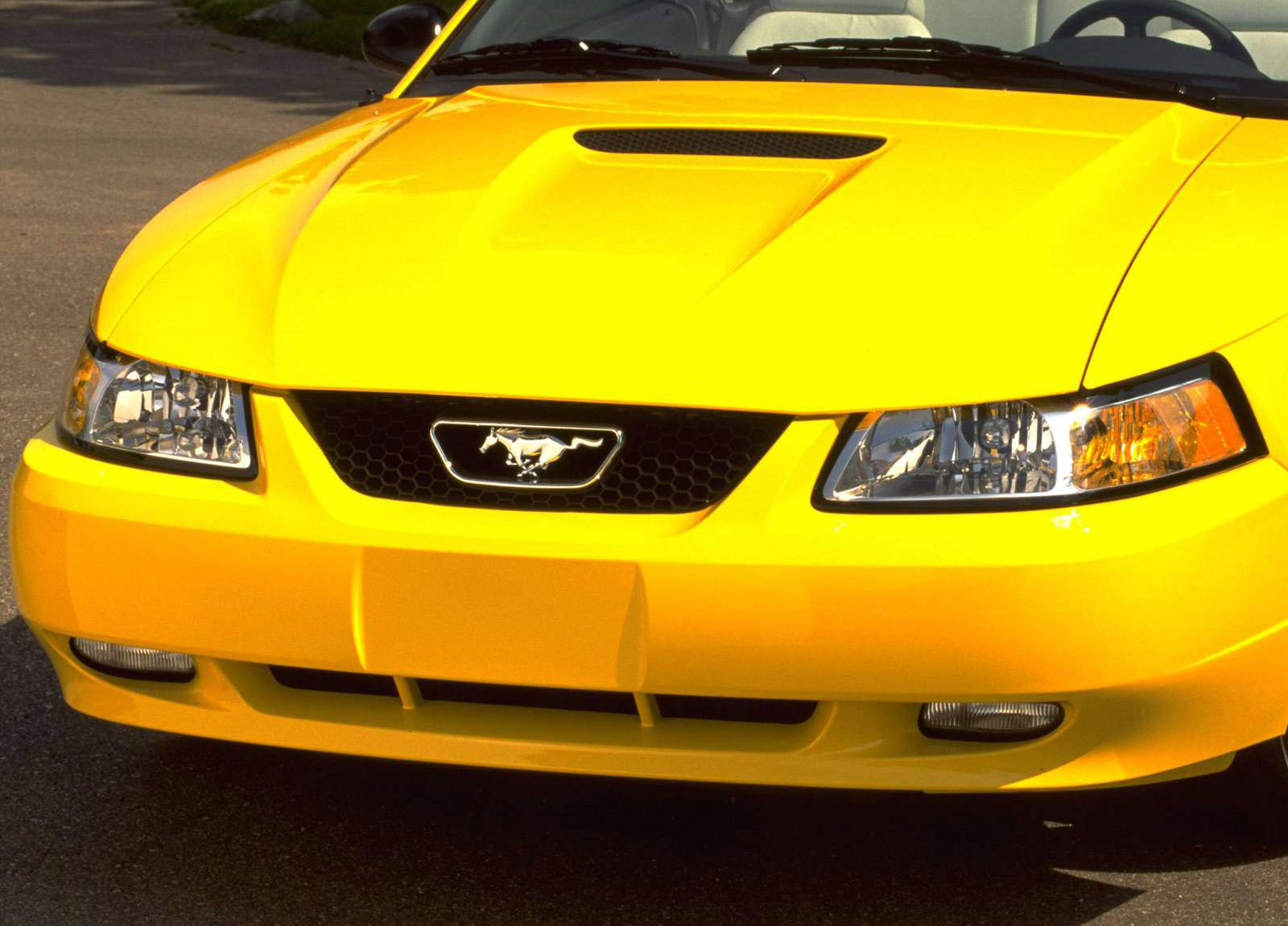 Ford Mustang GT photo #8