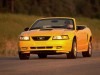 1999 Ford Mustang GT thumbnail photo 91572