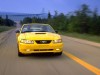 1999 Ford Mustang GT thumbnail photo 91575