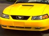 1999 Ford Mustang GT thumbnail photo 91578