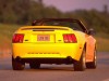 1999 Ford Mustang GT thumbnail photo 91582