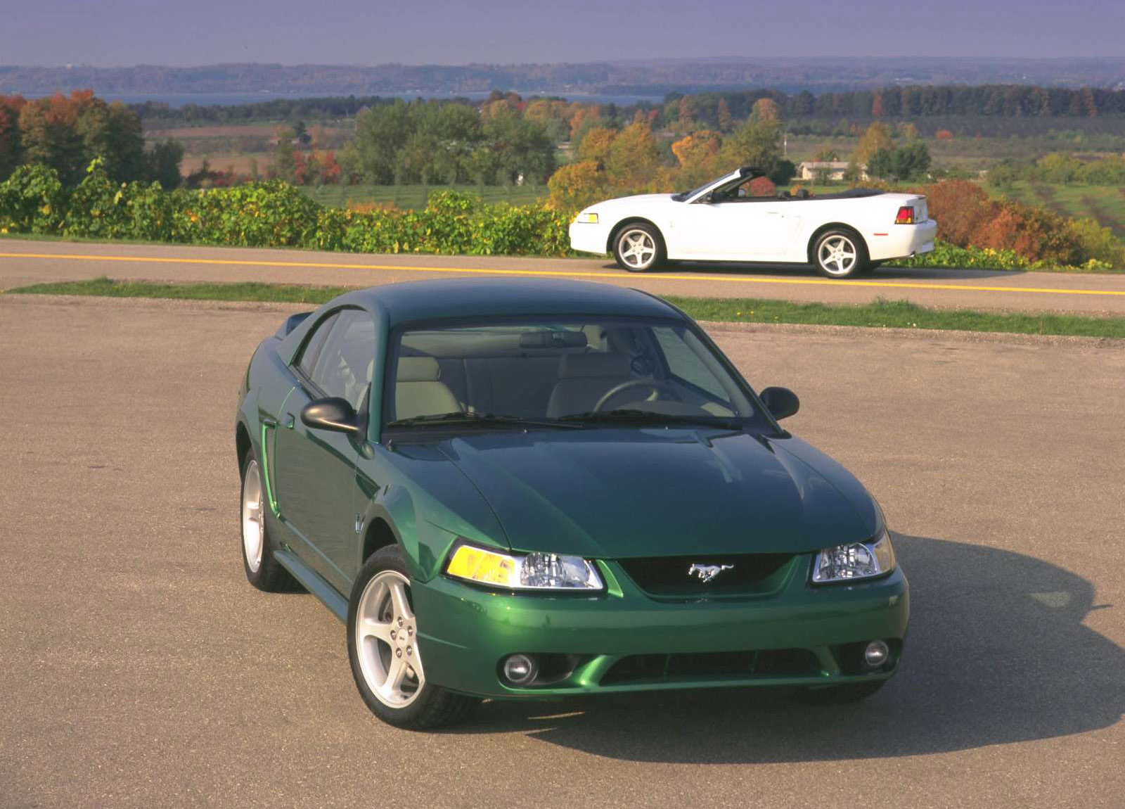 Ford Mustang SVT Cobra photo #3