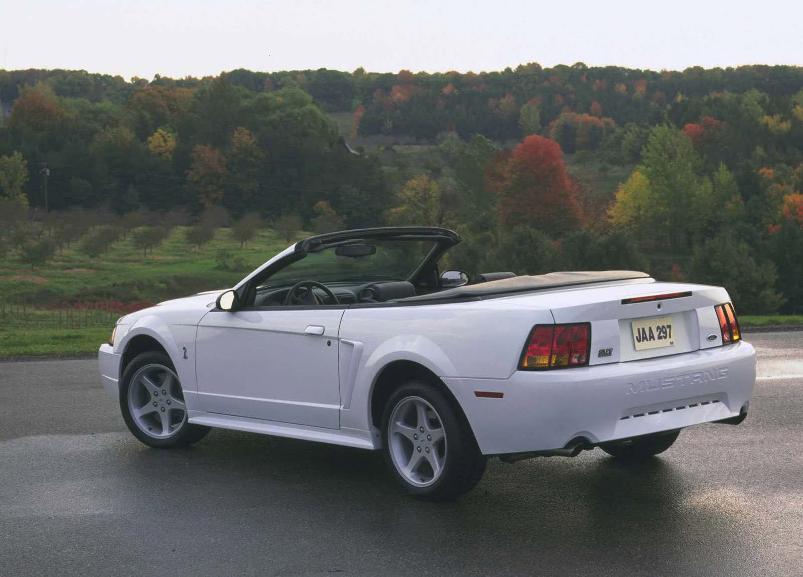 Ford Mustang SVT Cobra photo #4