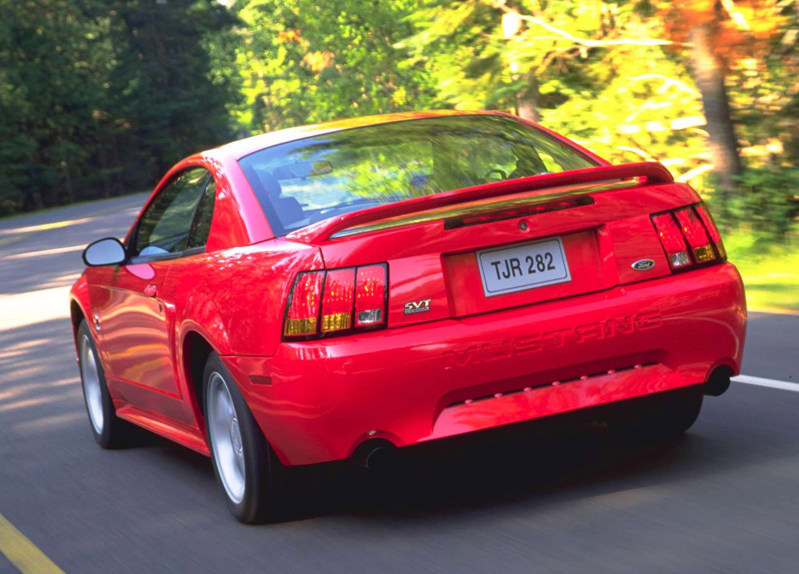 Ford Mustang SVT Cobra photo #5