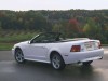 Ford Mustang SVT Cobra 1999