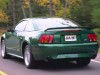 1999 Ford Mustang SVT Cobra thumbnail photo 91561