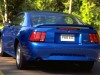 1999 Ford Mustang thumbnail photo 91597