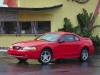 2000 Ford Mustang GT thumbnail photo 91519