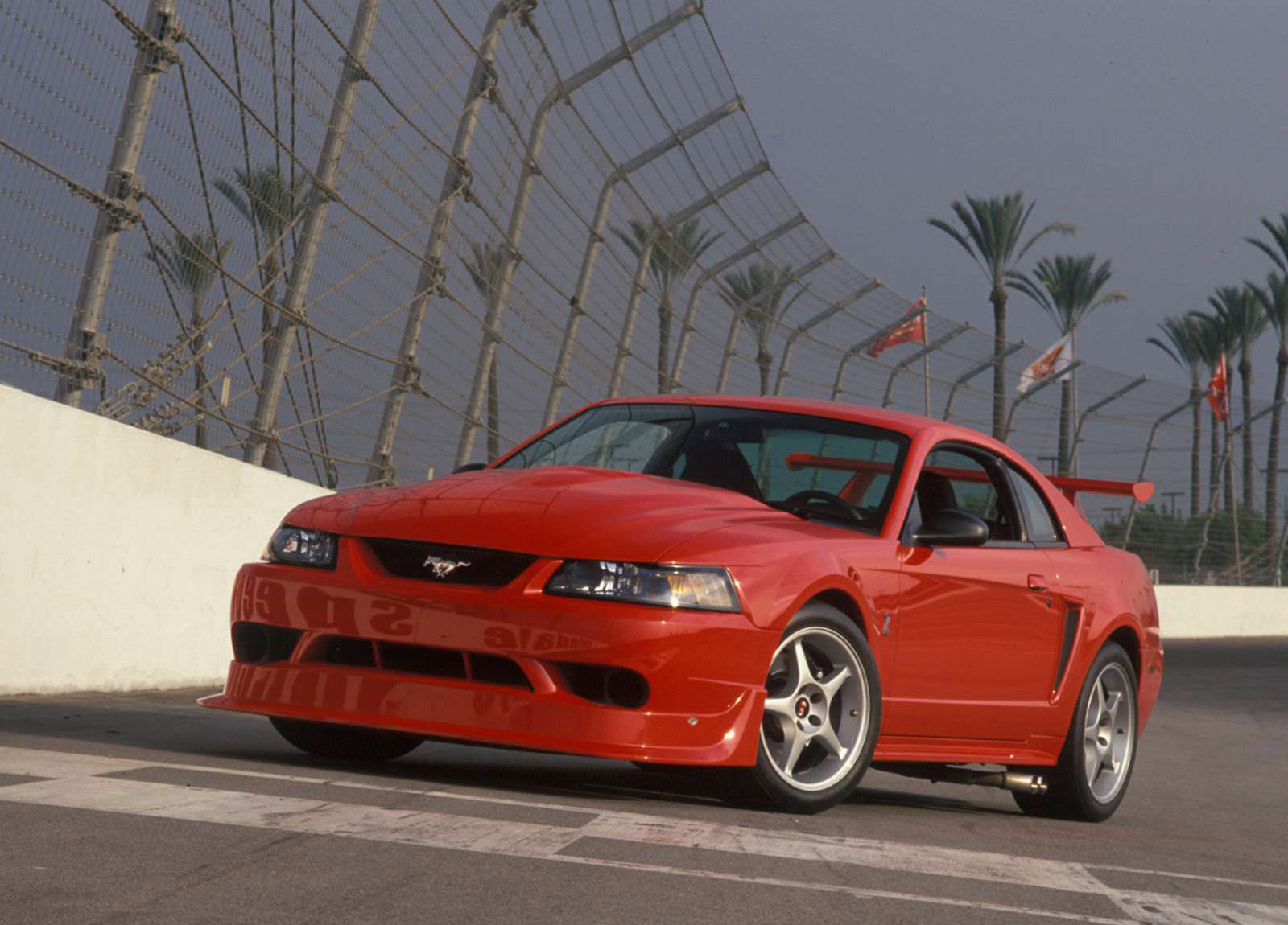 Ford Mustang SVT Cobra R photo #3