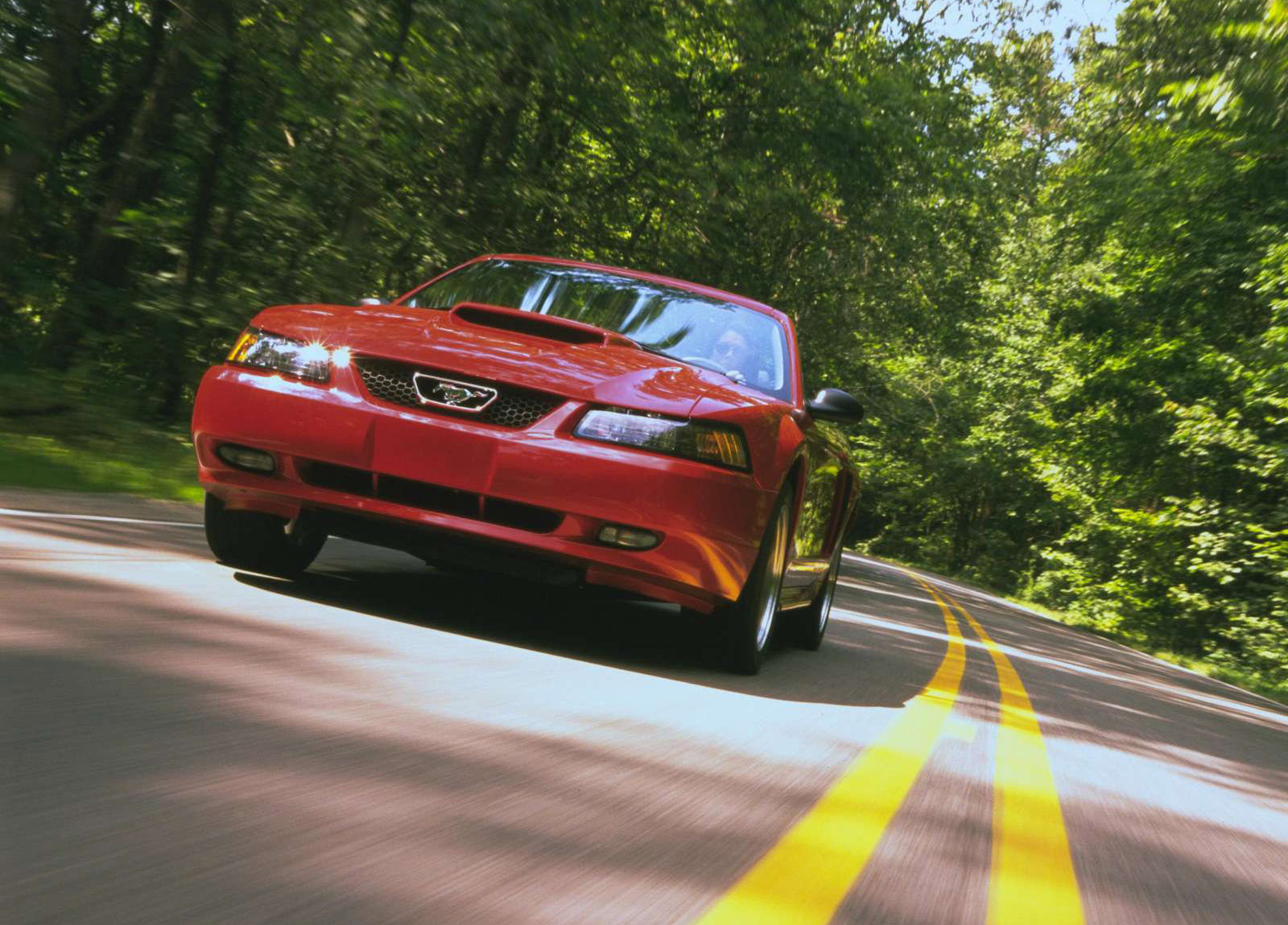 Ford Mustang GT Convertible photo #3