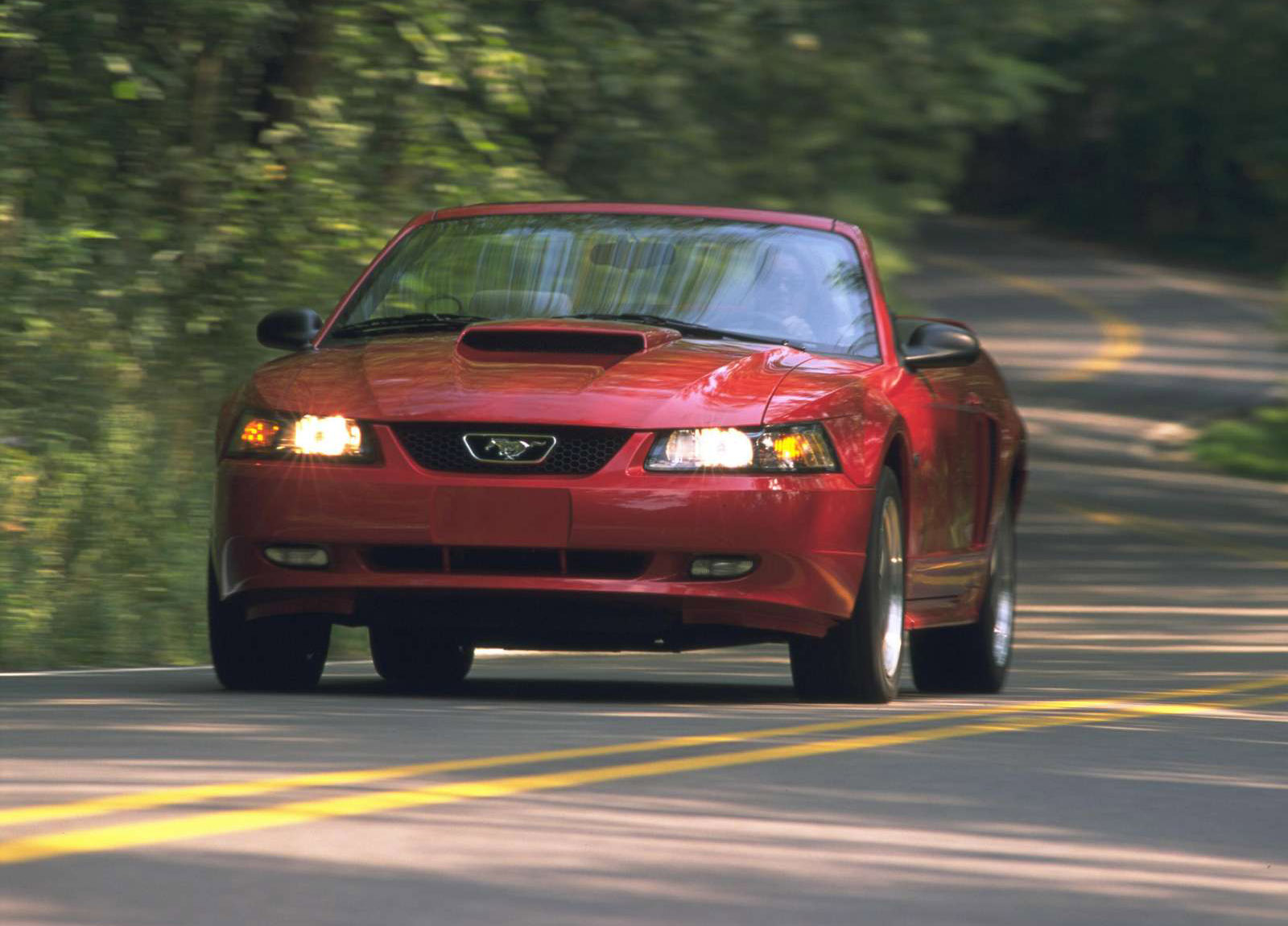 Ford Mustang GT Convertible photo #4