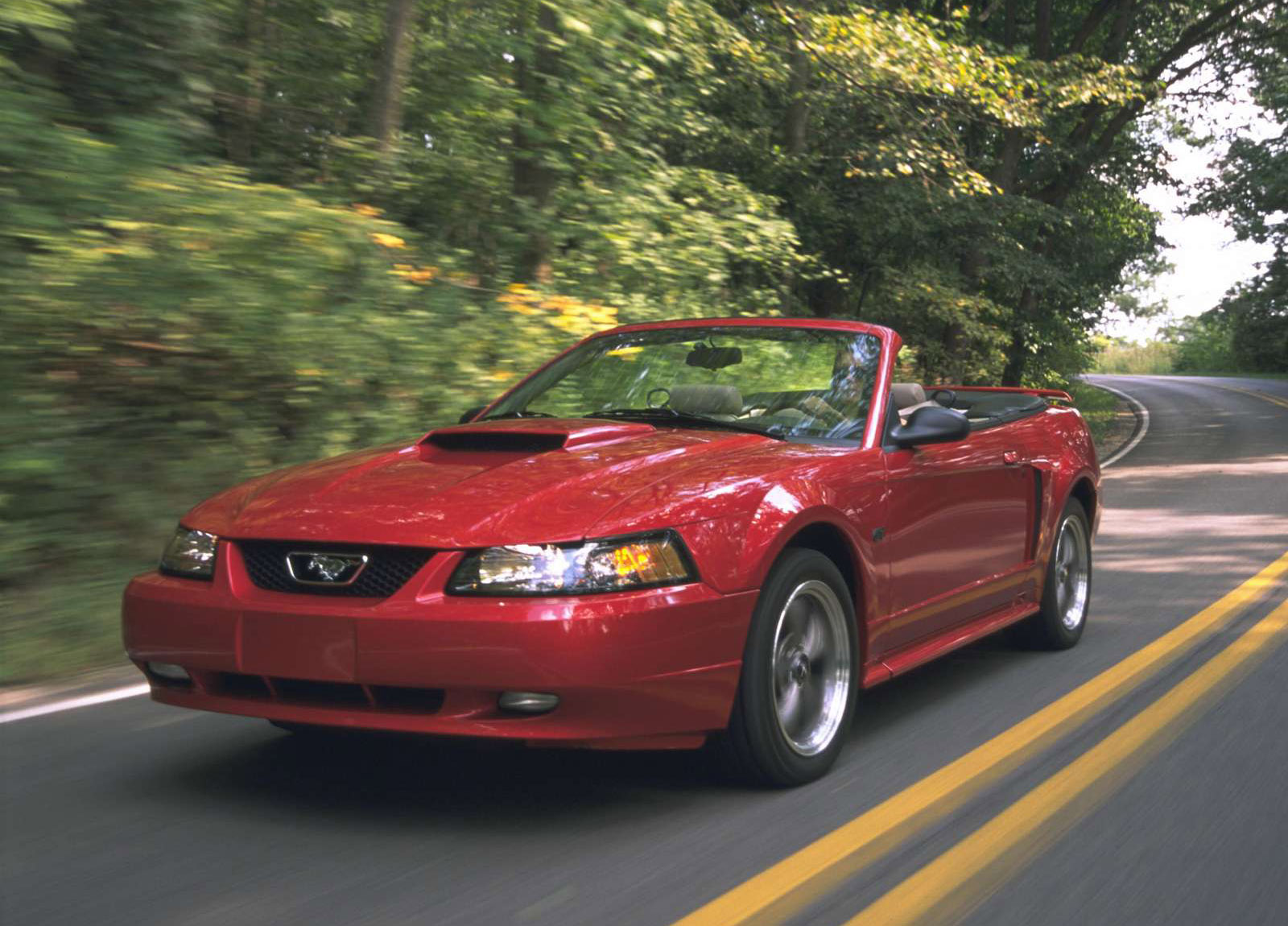 Ford Mustang GT Convertible photo #6
