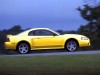 2001 Ford Mustang SVT Cobra thumbnail photo 91422