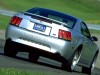 2001 Ford Mustang SVT Cobra thumbnail photo 91424
