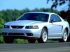 2001 Ford Mustang SVT Cobra thumbnail photo 91427