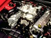 2001 Ford Mustang SVT Cobra thumbnail photo 91432