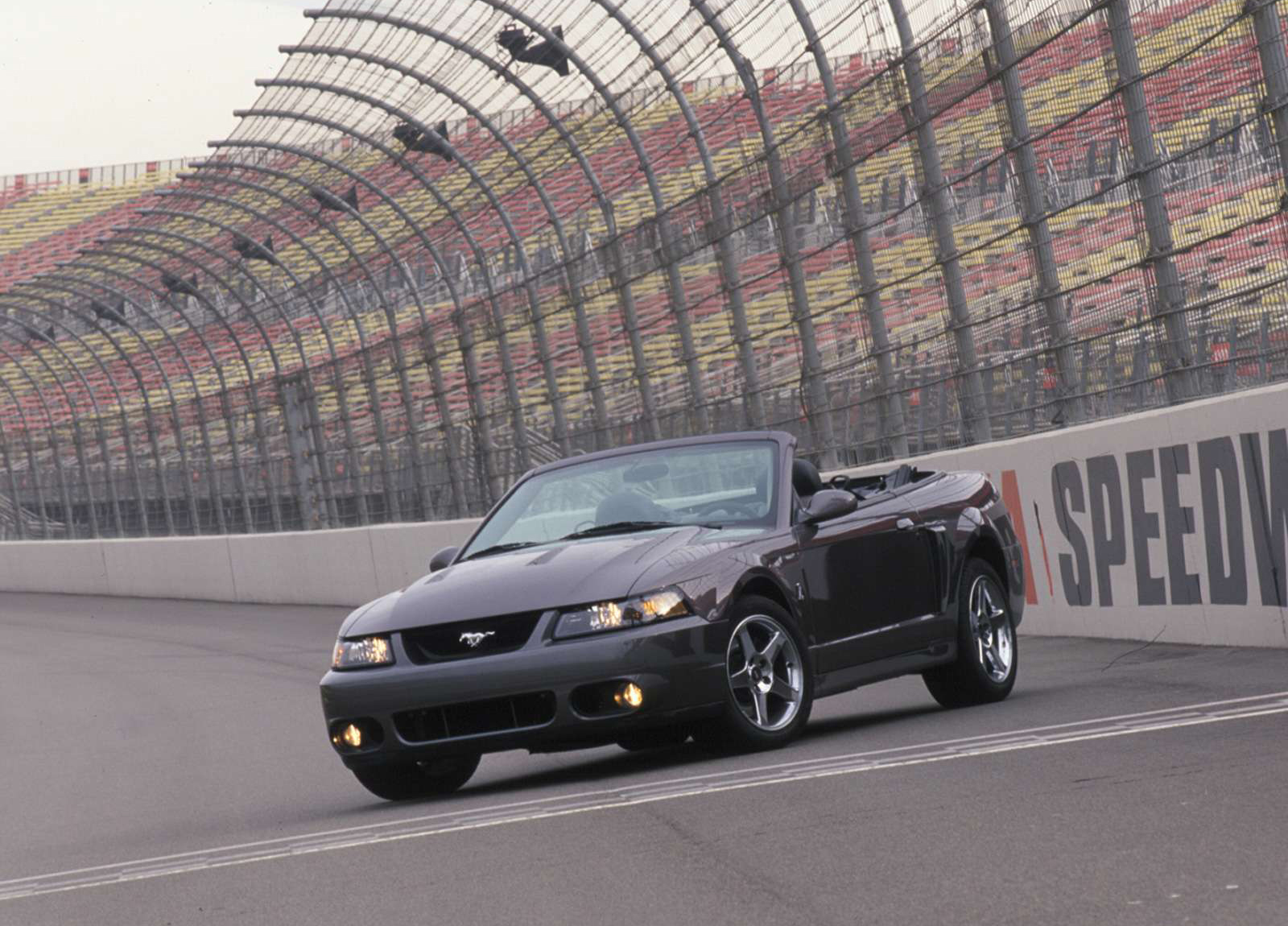 Ford Mustang photo #4