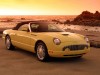 2002 Ford Thunderbird thumbnail photo 91201