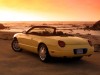 Ford Thunderbird 2002