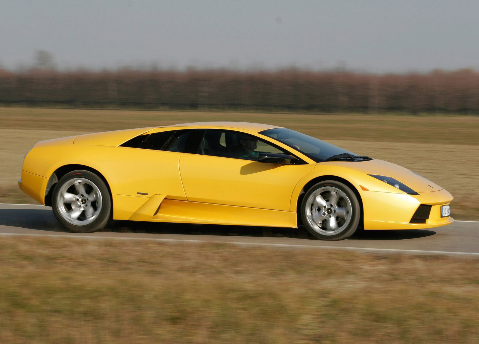 Lamborghini Murcielago photo #16