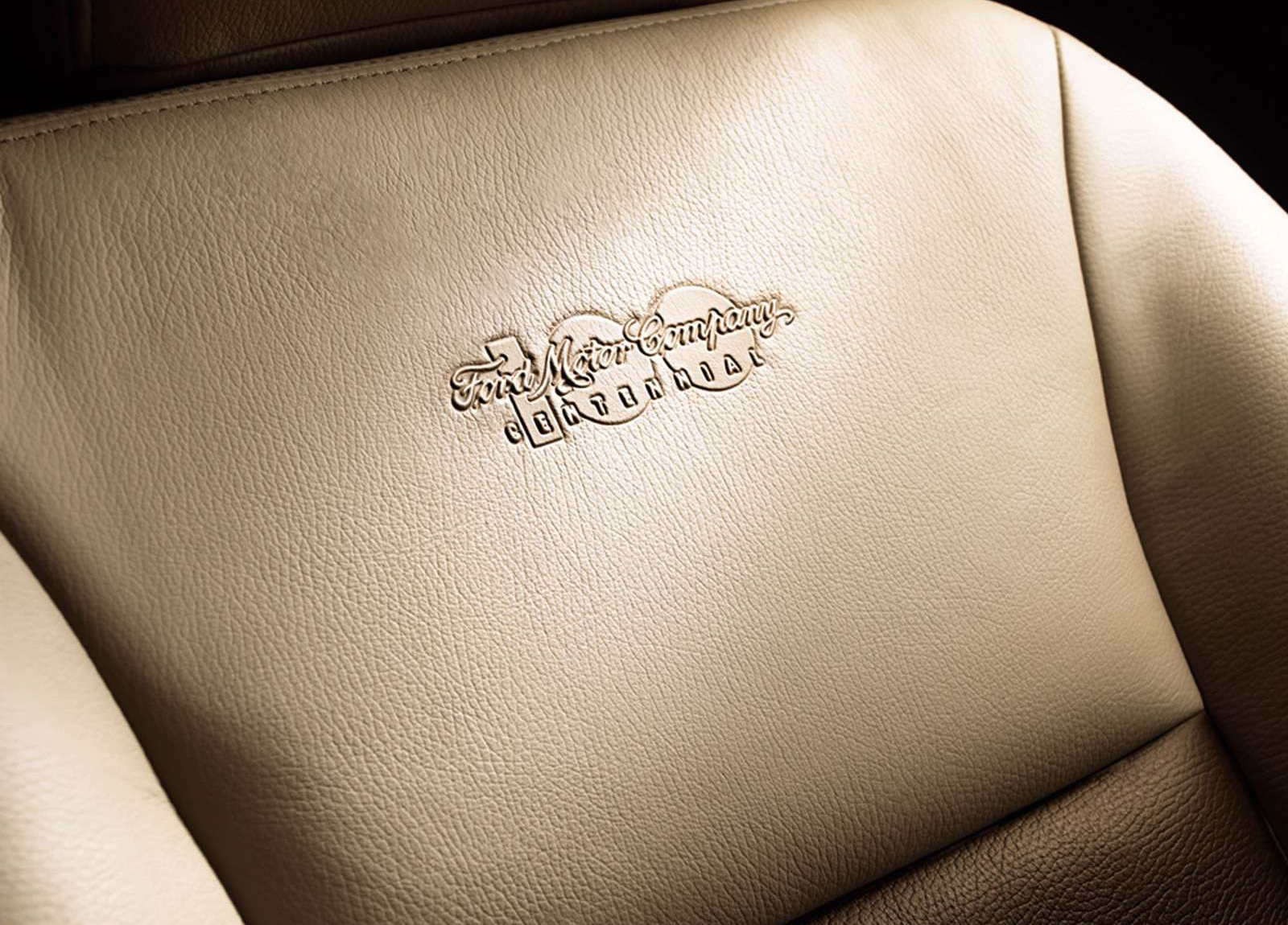 2003 Ford mustang centennial edition #10