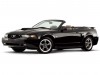 2003 Ford Mustang GT Centennial Edition thumbnail photo 91075