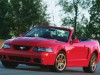 2003 Ford Mustang SVT Cobra 10th Anniversary thumbnail photo 90980