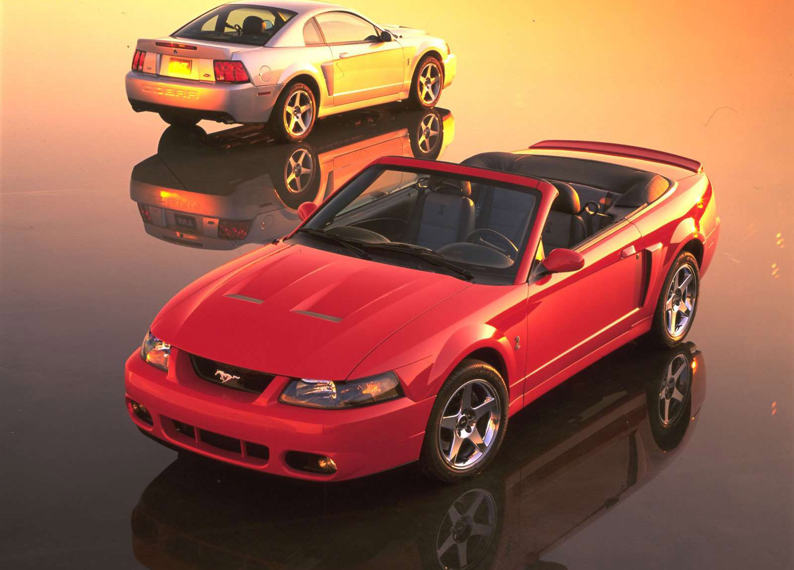 2003 Ford focus svt wiki #6