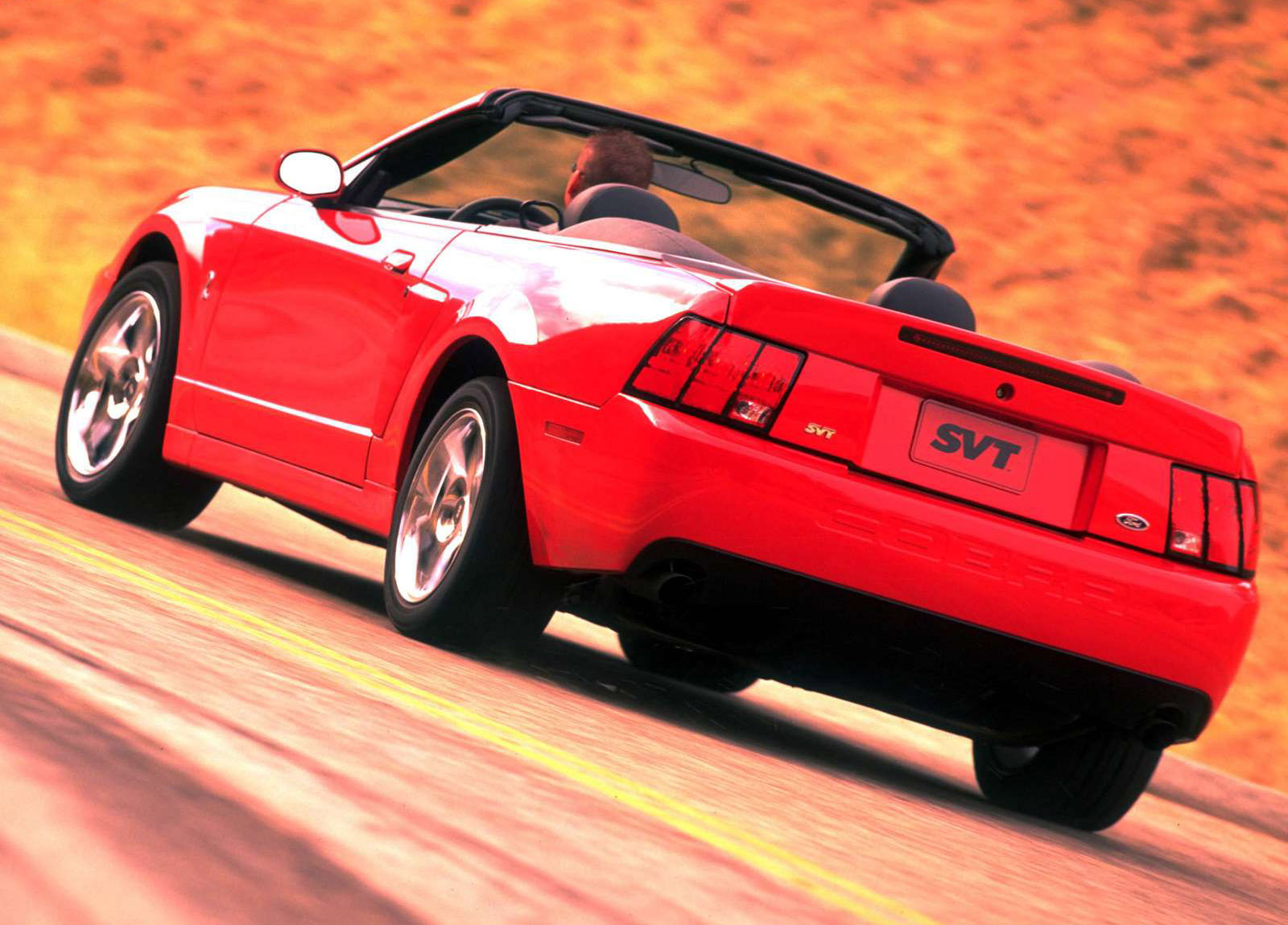 Ford Mustang SVT Cobra Convertible photo #14