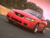 2003 Ford Mustang SVT Cobra Convertible thumbnail photo 90938