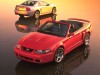 2003 Ford Mustang SVT Cobra Convertible thumbnail photo 90939