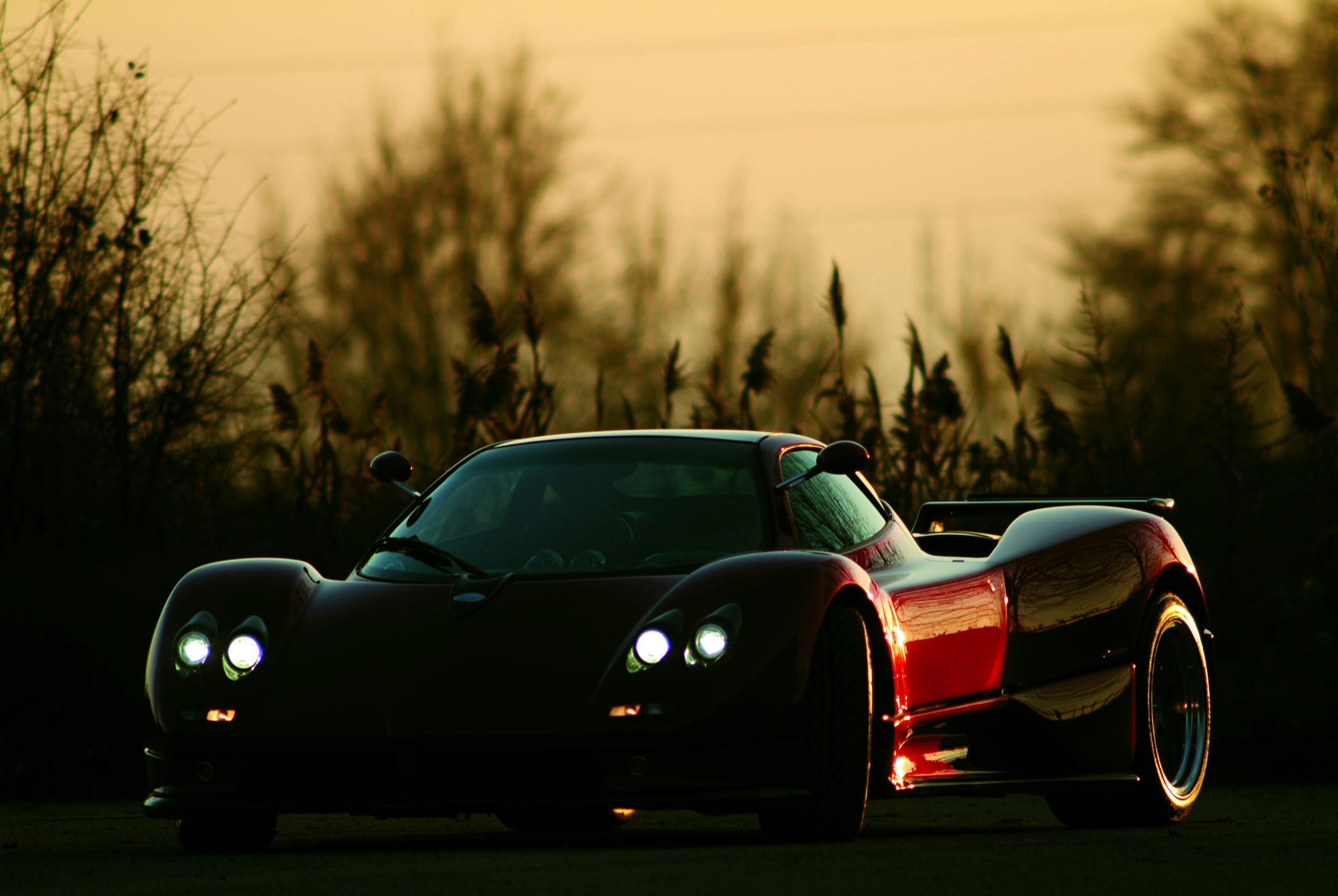 Pagani Zonda C12-S Roadster photo #18