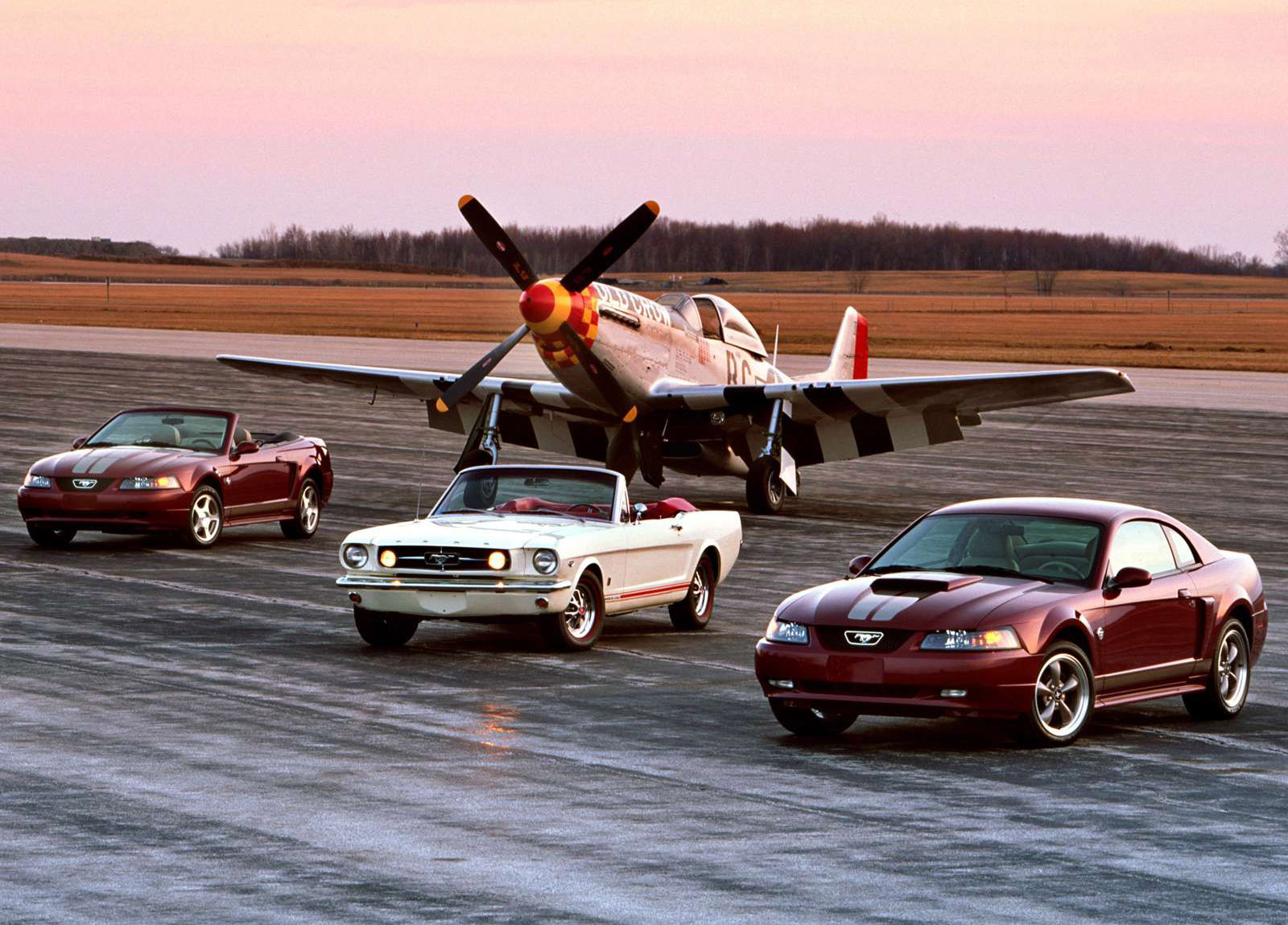 Ford Mustang 40th Anniversary photo #2