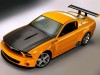 2004 Ford Mustang GTR 40th Anniversary Concept thumbnail photo 90725