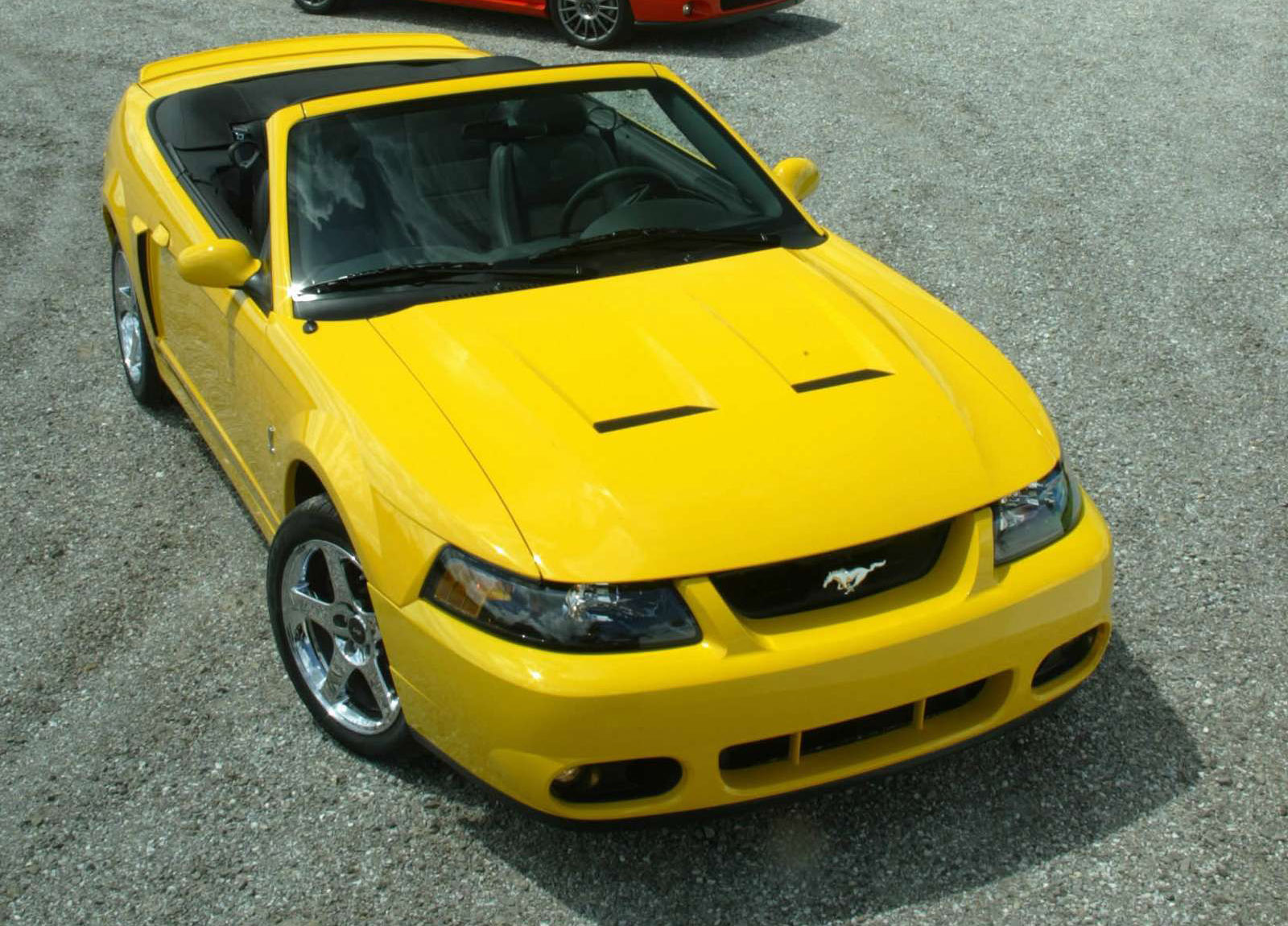 Ford Mustang SVT Cobra Convertible photo #1