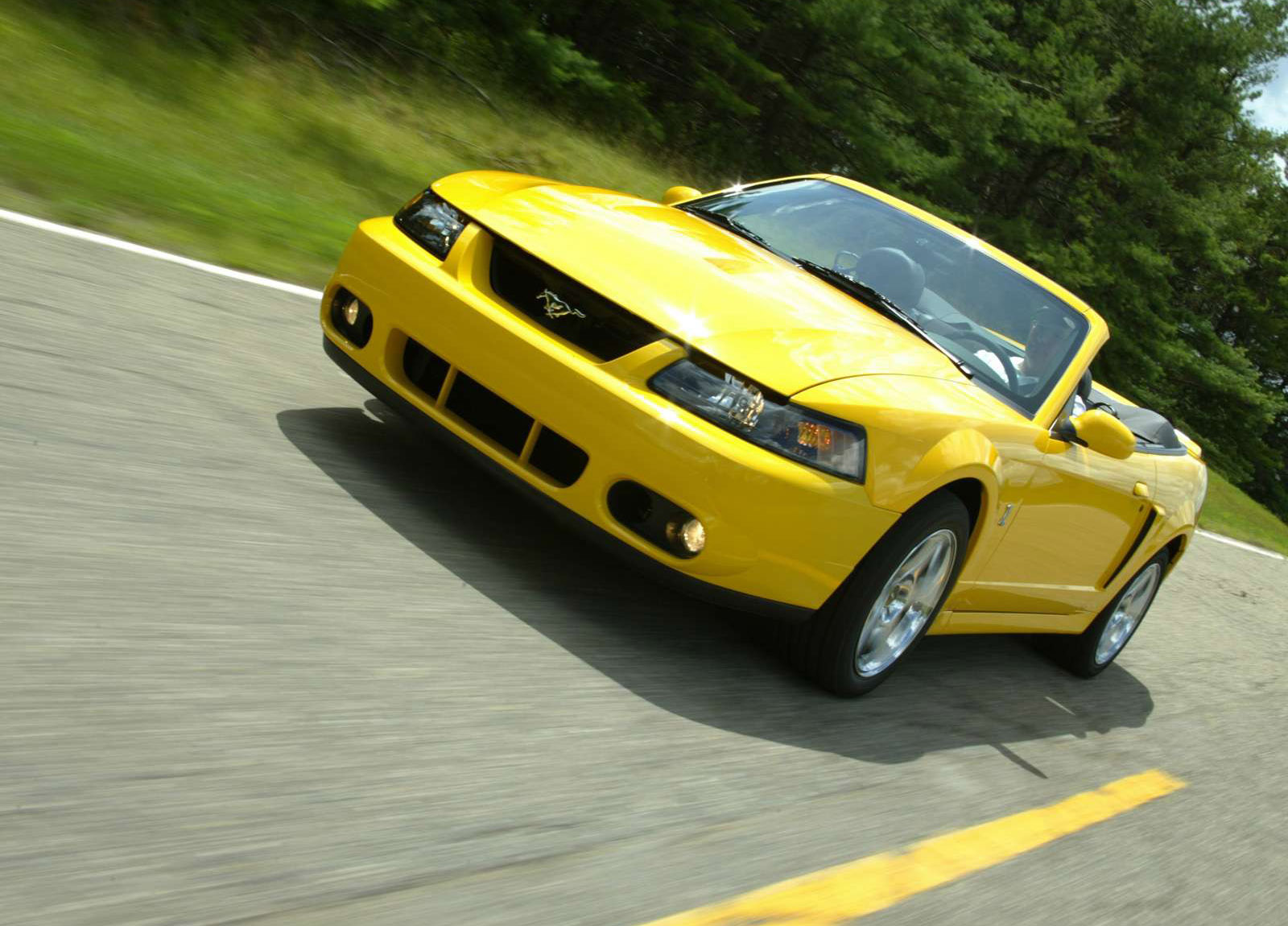 Ford Mustang SVT Cobra Convertible photo #2