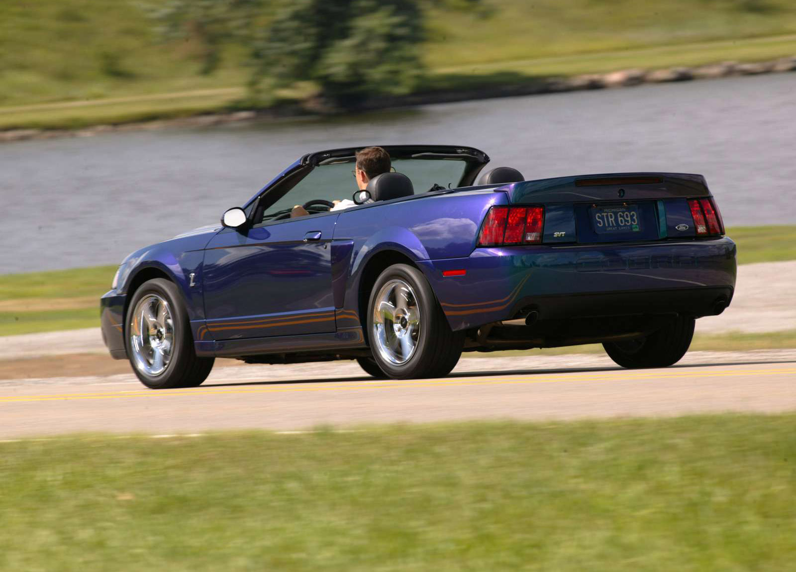 Ford Mustang SVT Cobra Convertible photo #15