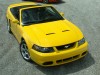 2004 Ford Mustang SVT Cobra Convertible thumbnail photo 90633