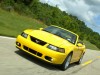 Ford Mustang SVT Cobra Convertible 2004