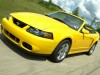 2004 Ford Mustang SVT Cobra Convertible thumbnail photo 90639