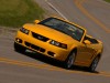 2004 Ford Mustang SVT Cobra Convertible thumbnail photo 90640